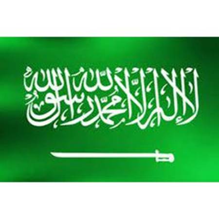 Picture for category Saudi Arabia