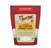 Picture of BRM GLUTEN FREE All Purpose Baking Flour 22 OZS