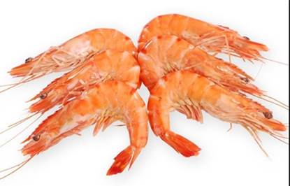 Picture of IQF SHRIMP HL EP 8/12  -  10 X 1 KG