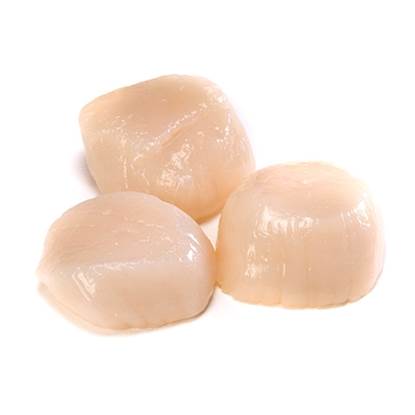 Picture of IQF SHRIMP SCALLOPS 10/20 10 X 1 KG