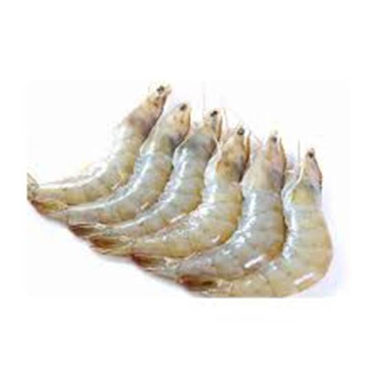 Thawaaq Kuwait Food Marketplace Head On Shrimp U 10 5 X 2 Kg