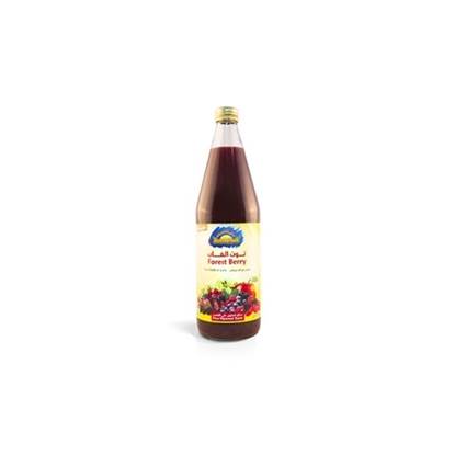 Picture of Forest Berry Juice, 750 ml, organic