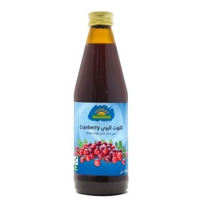 Picture of Cranberry Juice, 330 ml, organic