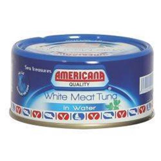 Picture of Americana White Tuna with water 4*160 g
