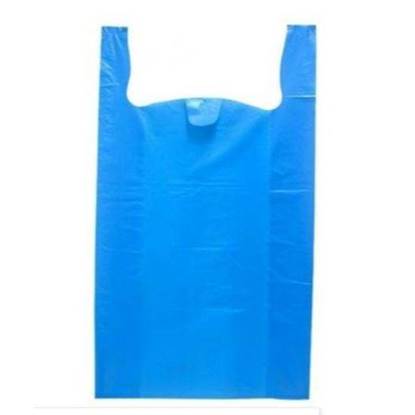 Picture of Blue Shopping Bag - Medium 1 x 5kg