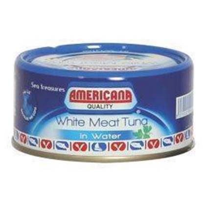 Picture of Americana White Tuna with water 48*160 g